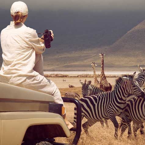 Serengeti - the endless land