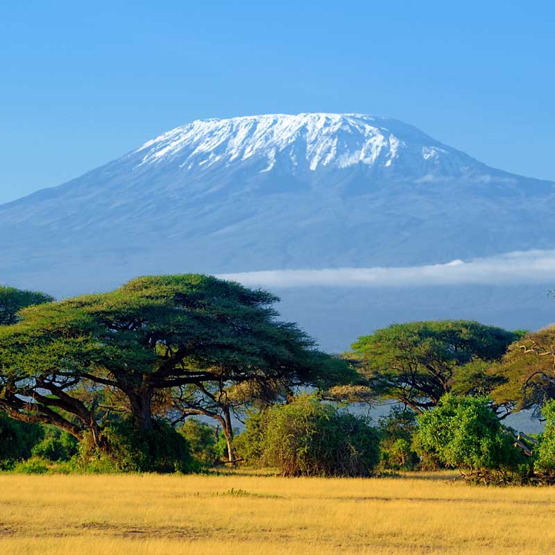 Kilimanjaro Trekking 5-6 Days